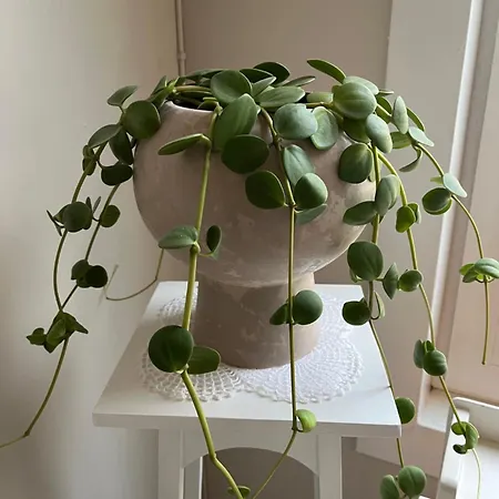 M I G L I O R E Nocleg ze śniadaniem 3*